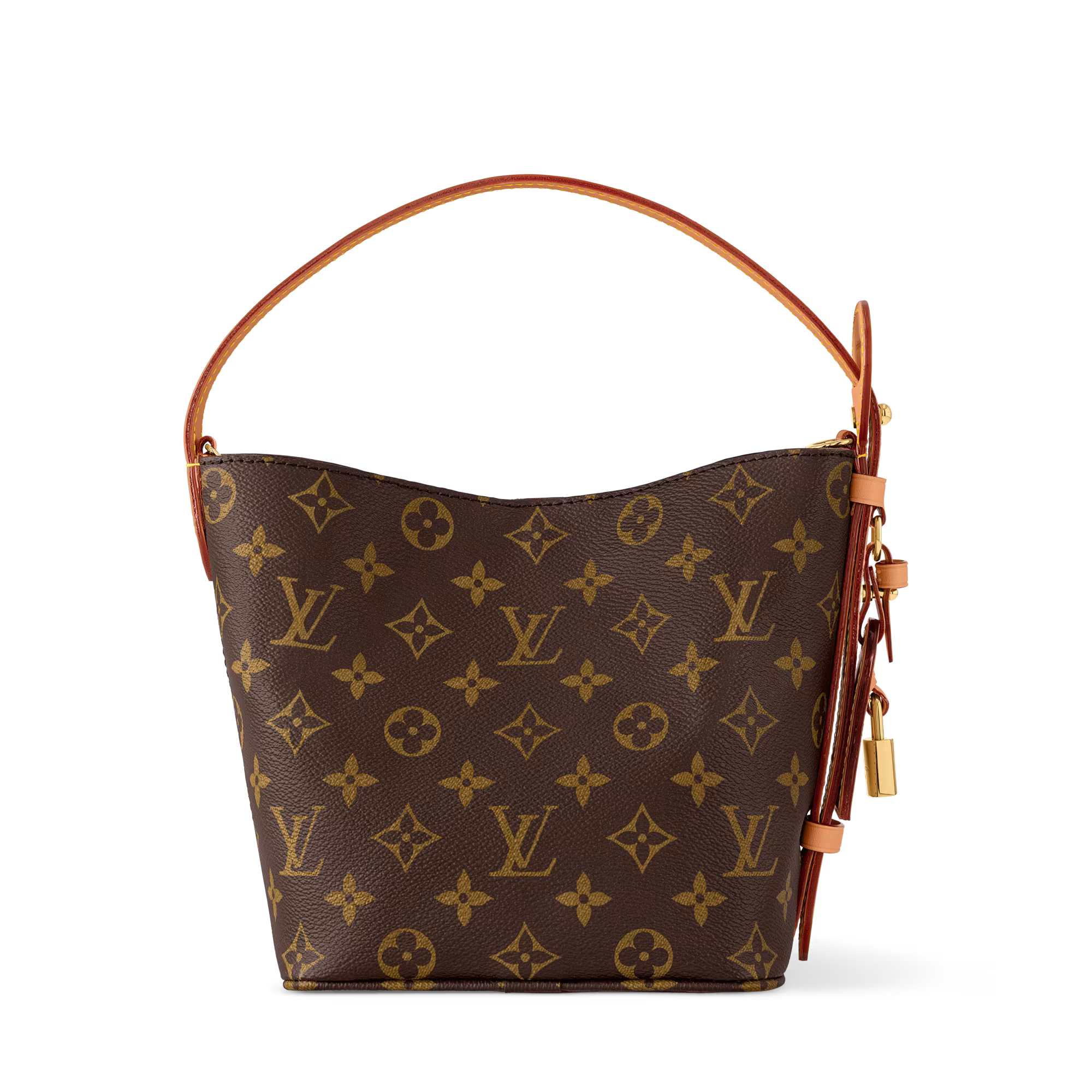 Louis Vuitton All In BB - Back view