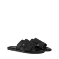Oasis Mule