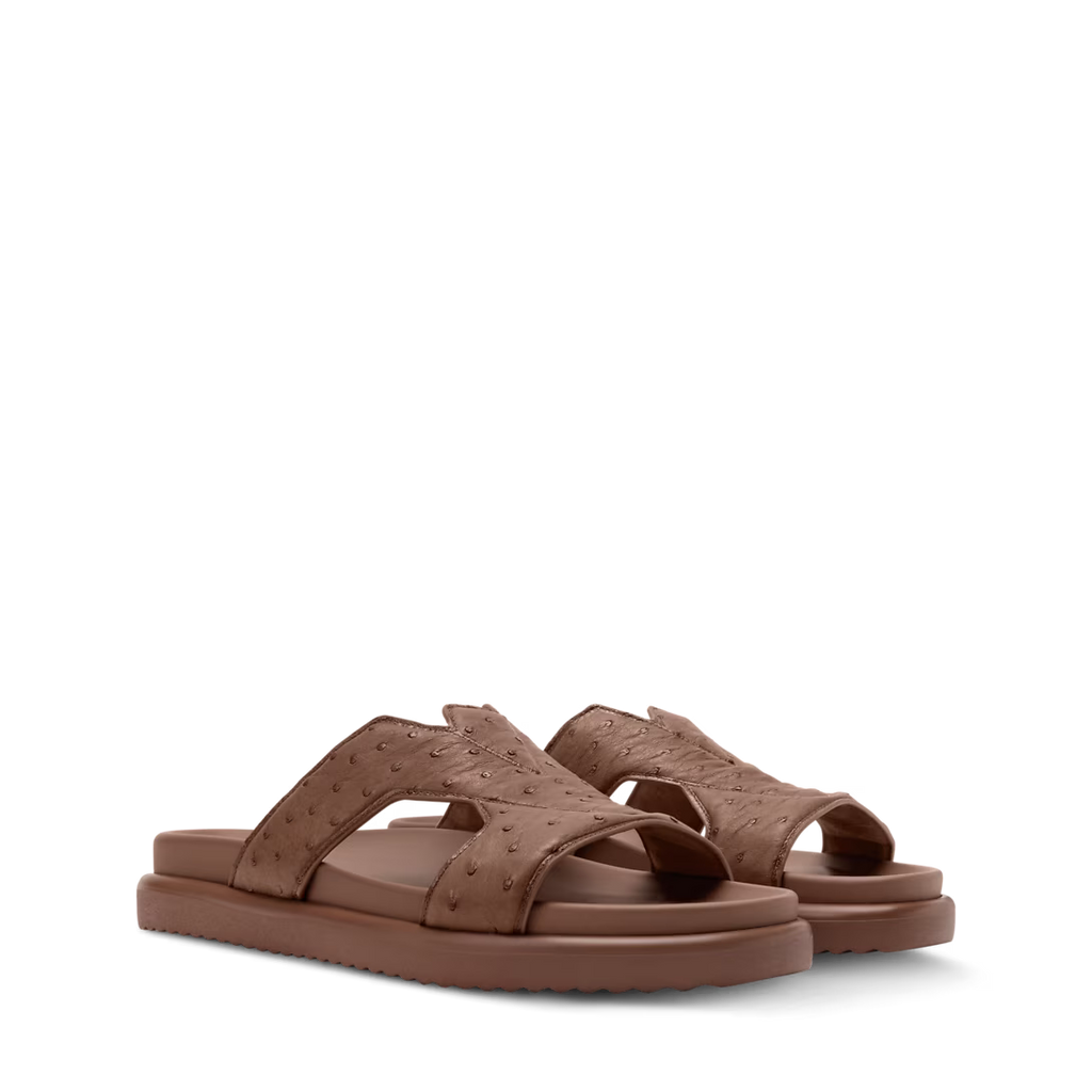 Oasis Mule